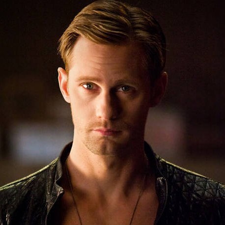 A photo of Alexander Skarsgård, a Actor, who has a Light Summer color profile.